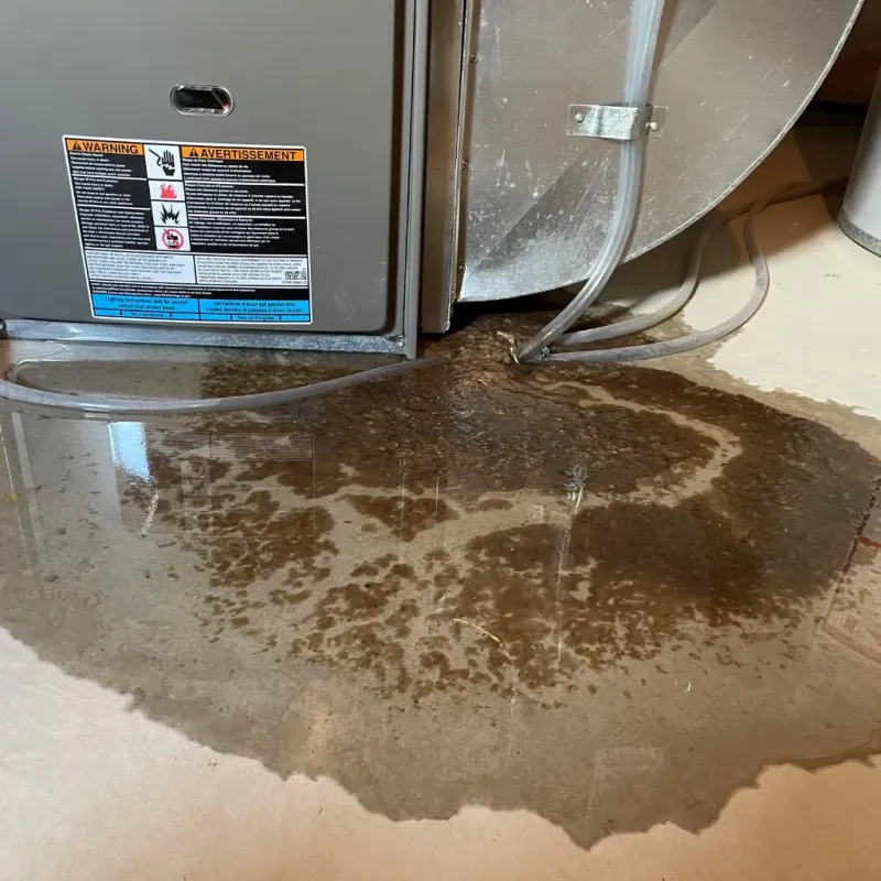 Appliance Leak Cleanup in Miami County, KS